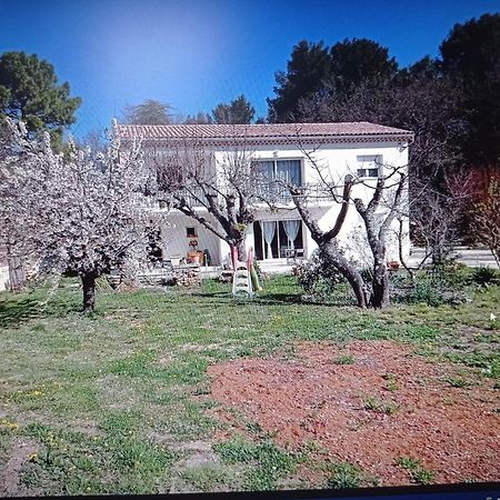 La Maison De Papou La Vigne A Nans Les Pins 83860 Luaran gambar