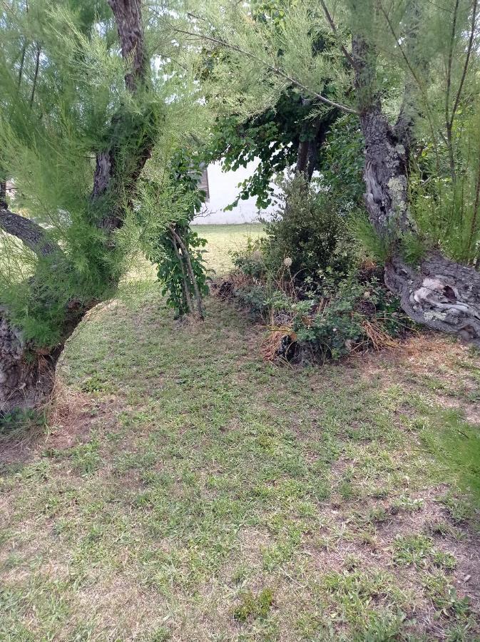 La Maison De Papou La Vigne A Nans Les Pins 83860 Luaran gambar