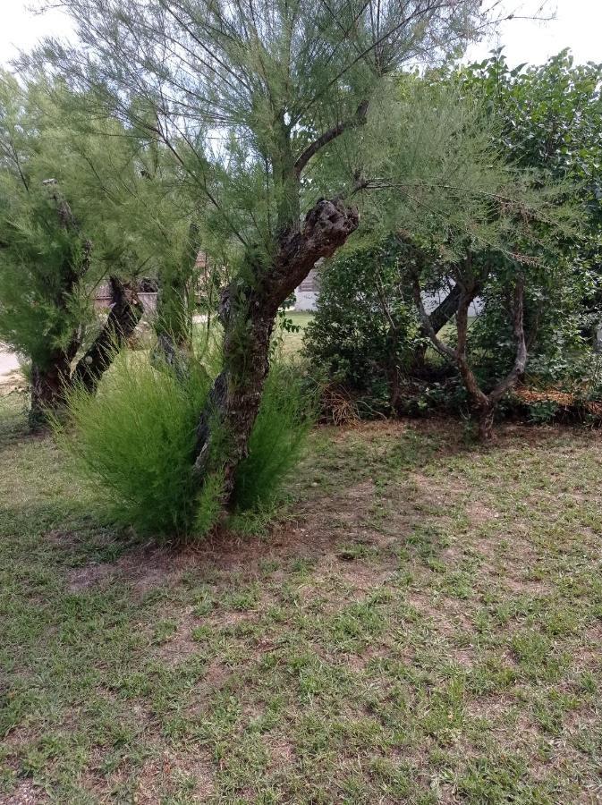La Maison De Papou La Vigne A Nans Les Pins 83860 Luaran gambar